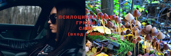 мдпв Нефтегорск